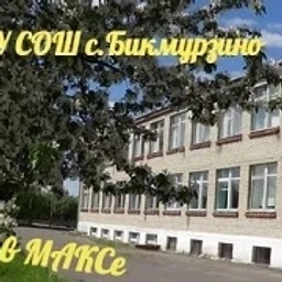 Аватар канала «Канал МБОУ СОШ с.Бикмурзино Неверкинского района Пензенской области»