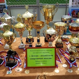 Аватар канала «МБУ ДО "ДЮСШ" Никольского района и Центр тестирования ГТО»