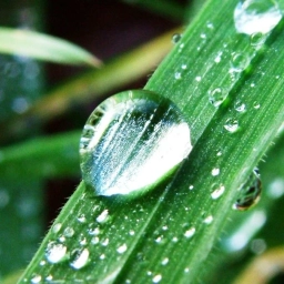 Аватар канала «МБДОУ № 23 г. Пензы "Росиночка"»