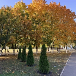 Аватар канала «МБОУ СОШ №63 г.Пензы»