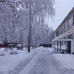 Аватар канала «МБДОУ детский сад 17 г. Пензы»