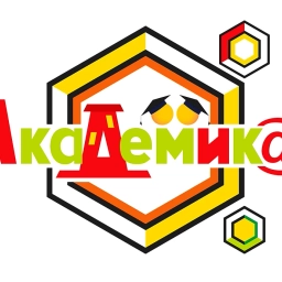 Аватар канала «Академика»