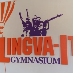 Аватар канала «"Первая гимназия: Lingva-IT" (г. Пермь)»