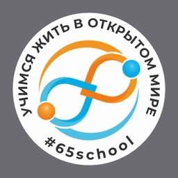 Аватар канала «МАОУ «СОШ N 65» г.Перми»