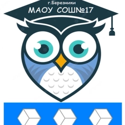 Аватар канала «МАОУ СОШ №17 г. Березники Пермский край»