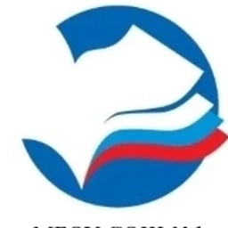 Аватар канала «МБОУ СОШ № 1 г. Чайковский»