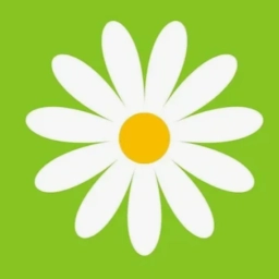 Аватар канала «Канал МБДОУ Д/С № 17 "Ромашка"»