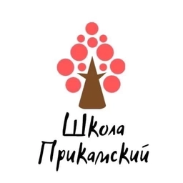 Аватар канала «МБОУ СОШ п. Прикамский. Официальный канал»