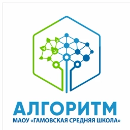 Аватар канала «МАОУ "Гамовская средняя школа "Алгоритм"»