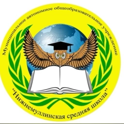 Аватар канала «МАОУ "Нижнемуллинская средняя школа"»