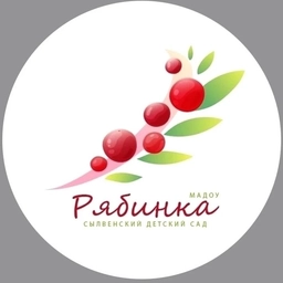 Аватар канала «МАДОУ "Сылвенский детский сад "Рябинка"»