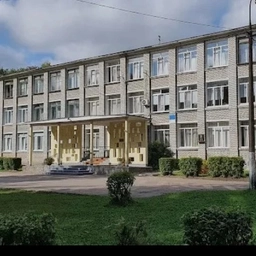 Аватар канала «МБОУ "Лицей "Развитие" г. Псков»