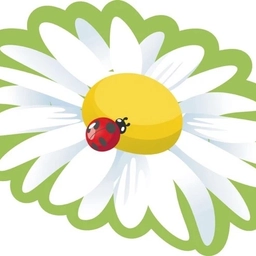 Аватар канала «МБДОУ 35 Ромашка»