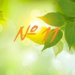 Аватар канала «МБОУ ООШ 11П.НОВОБЕРЕЗОВКА»