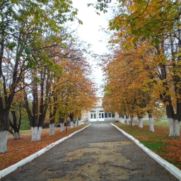 Аватар канала «МБОУ Приютинская СОШ»