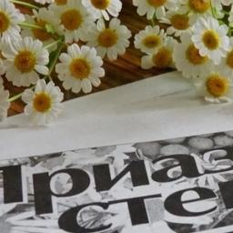 Аватар канала «Приазовская степь»