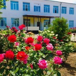 Аватар канала «МБОУ Богородицкая СОШ № 20»