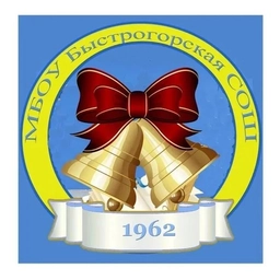 Аватар канала «Быстрогорская средняя общеобразовательная школа»