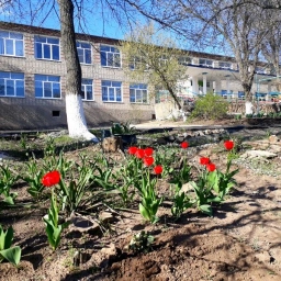 Аватар канала «МБОУ Краснодонецкая СОШ»