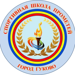 Аватар канала «МБУДО СШ «Прометей» г.Гуково»