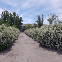 Аватар канала «Платовская школа - лучшая школа в мире!»