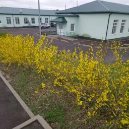 Аватар канала «МБОУ Верхнеталовская СОШ»