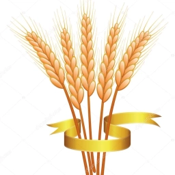 Аватар канала «МБДОУ №24 г.Шахты»