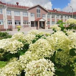 Аватар канала «МБОУ "Чапаевская СОШ"»