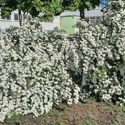 Аватар канала «МБУ "Школа № 18" г. Тольятти»