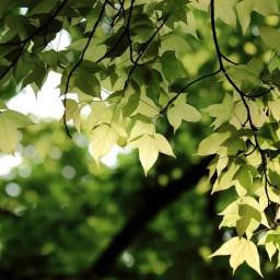 Аватар канала «МАОУ детский сад № 69 "Веточка"»