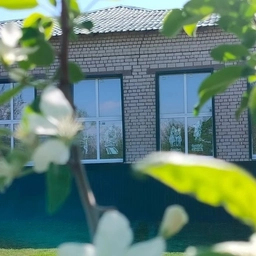 Аватар канала «ГБОУ СОШ с. Новокуровка»