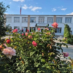 Аватар канала «МБОУ СОШ №2 с. Александров-Гай»