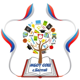 Аватар канала «МБОУ СОШ с.Балтай»