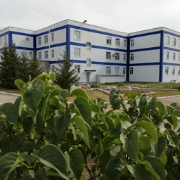 Аватар канала «Гимназия с.Ивантеевка»