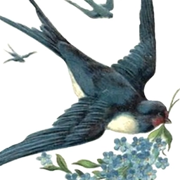 Аватар канала «МДОУ д/с "Ласточка"»