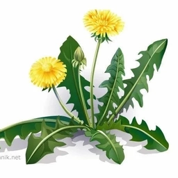 Аватар канала «МДОУ Д/С "ОДУВАНЧИК" Г.БАЛАШОВА»