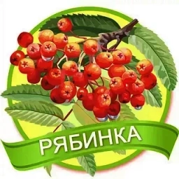 Аватар канала «МДОУ д/с "Рябинка" г. Балашова»