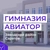 Аватар канала «МОУ "Гимназия "Авиатор"»