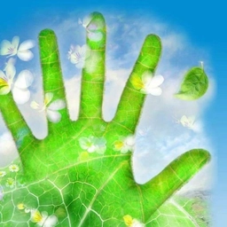 Аватар канала «ГУЗ "СГКБ 10"»