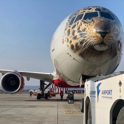 Аватар канала «Аэропорт «Южно-Сахалинск»»