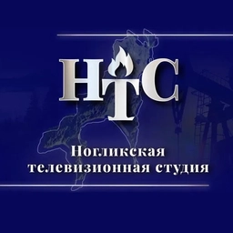 Аватар канала «Ногликская телестудия»