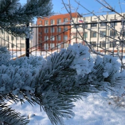 Аватар канала «МАОУ СОШ № 5»