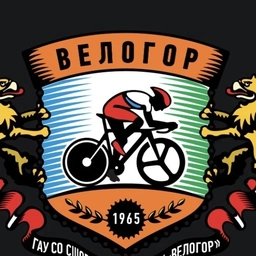 Аватар канала «ВЕЛОГОР»