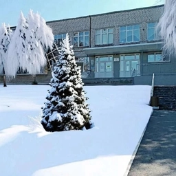 Аватар канала «МАОУ СОШ №8 мо Верхний Тагил»