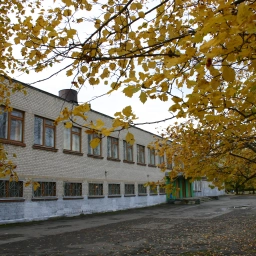 Аватар канала «Средняя общеобразовательная школа № 17»