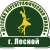 Аватар канала «Детская хореографическая школа г. Лесной»