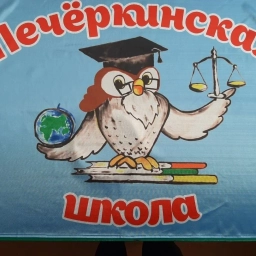 Аватар канала «МБОУ ПМО СО "Печеркинская СОШ"»