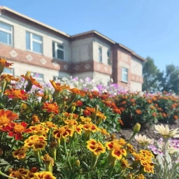 Аватар канала «МКОУ "Куминовская ООШ"»