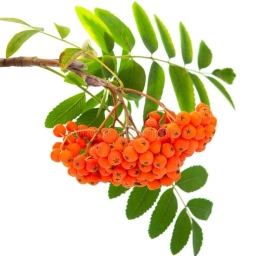 Аватар канала «МАДОУ №17»