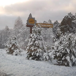 Аватар канала «Луговская поселковая управа Тугулымского МО СО»